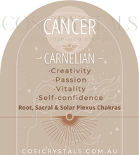 Load image into Gallery viewer, Zodiac gem bracelets