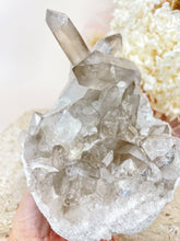 Load image into Gallery viewer, Smoky Quartz Cluster (SQC2)