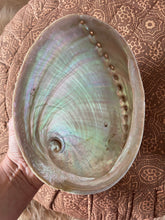 Load image into Gallery viewer, Abalone Shell
