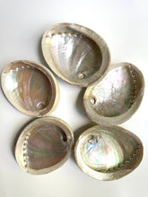 Load image into Gallery viewer, Natural Sustainable Abalone shell Sydney crystal shop cleansing rituals water element smoke ceremony