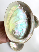 Load image into Gallery viewer, Natural Sustainable Abalone shell Sydney crystal shop cleansing rituals water element smoke ceremony