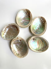 Load image into Gallery viewer, Natural Sustainable Abalone shell Sydney crystal shop cleansing rituals water element smoke ceremony