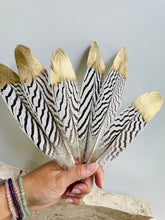 Load image into Gallery viewer, Feather