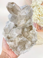 Load image into Gallery viewer, Smoky Quartz Cluster (SQC2)