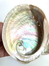 Load image into Gallery viewer, Natural Sustainable Abalone shell Sydney crystal shop cleansing rituals water element smoke ceremony