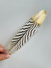 Load image into Gallery viewer, Feather