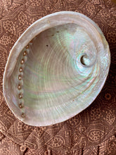 Load image into Gallery viewer, Abalone Shell