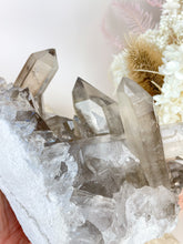 Load image into Gallery viewer, Smoky Quartz Cluster (SQC3)