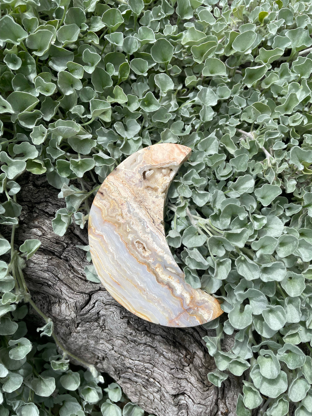 Crazy lace agate Moon (CLM9)