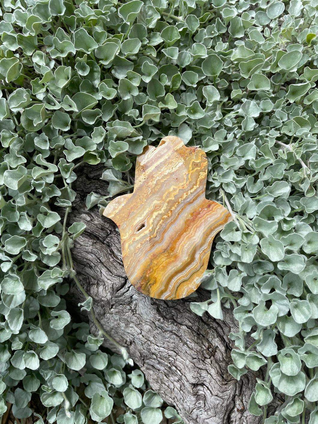 Crazy lace agate Hamsa (CLH1)