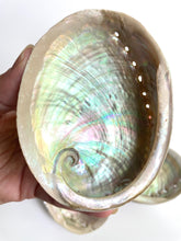 Load image into Gallery viewer, Natural Sustainable Abalone shell Sydney crystal shop cleansing rituals water element smoke ceremony
