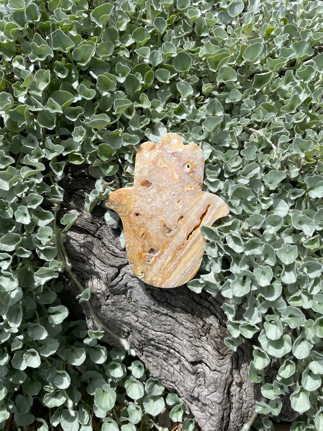 Crazy lace agate Hamsa (CLH4)